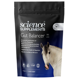 Gut Balancer Horse Hindgut Support Supplement - 3.3lbs (1.5kg) Powder