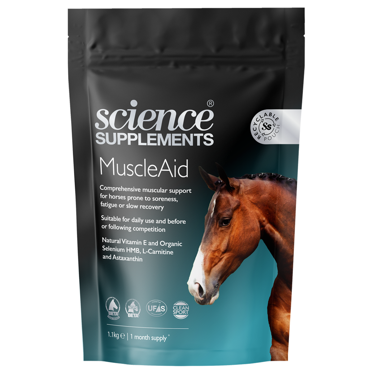 Supplements for Muscle Fatigue: Soothe & Strengthen