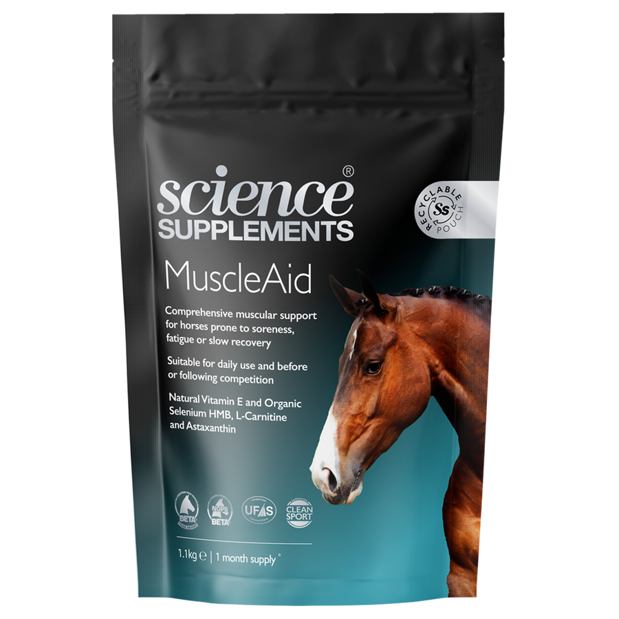 MuscleAid 1.1kg | Horse Muscle Soreness Supplement Science Supplements USA MuscleAid 1.1kg | Horse Muscle Soreness Supplement Science Supplements USA