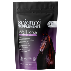 WellHorse Performance 3.1lb(1.4kg) |Horse Feed Balancer