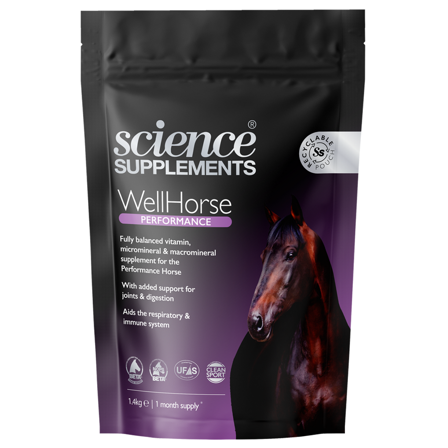 WellHorse Performance 3.1lb(1.4kg) |Horse Feed Balancer